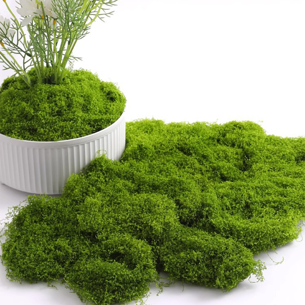 Terrarium Moss Art - 20/40/100g Eternal Life Moss DIY Crafts