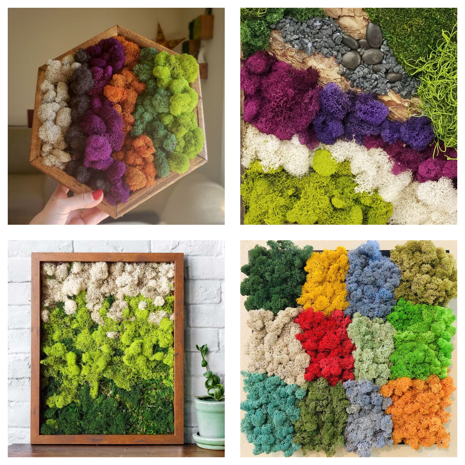 Artificial Green Plants Eterna - Terrarium Moss Art ulasan dan harga