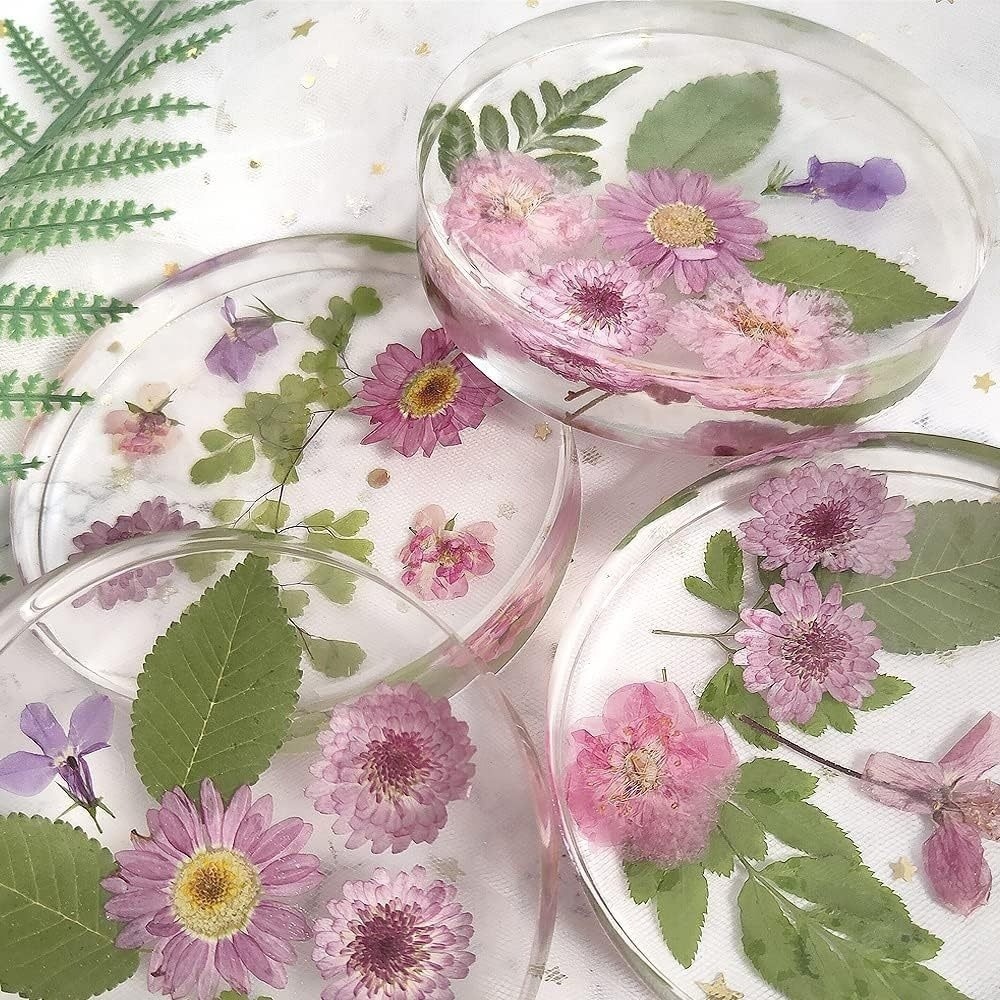 Creative Coasters Silicone Mol - Coaster Mold Round ulasan dan harga