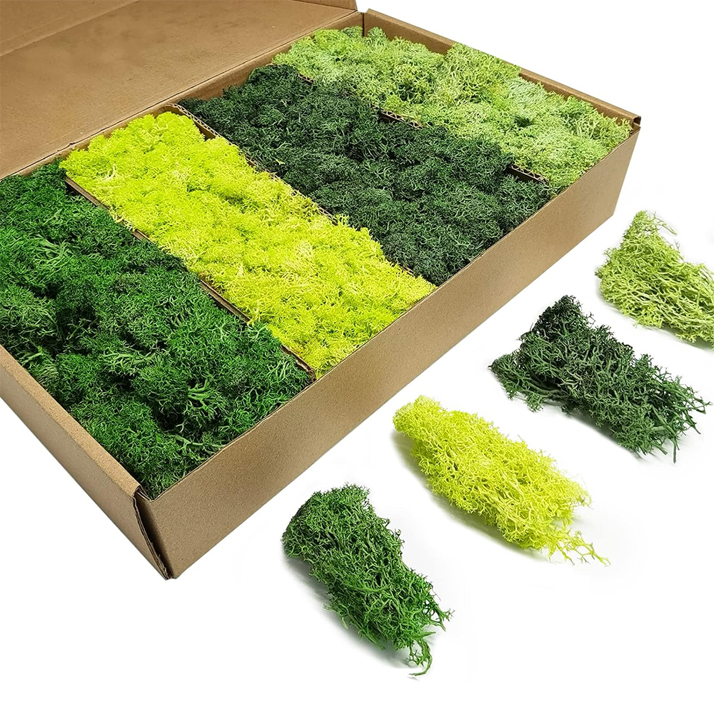 Artificial Green Plants Eterna - Terrarium Moss Art ulasan dan harga