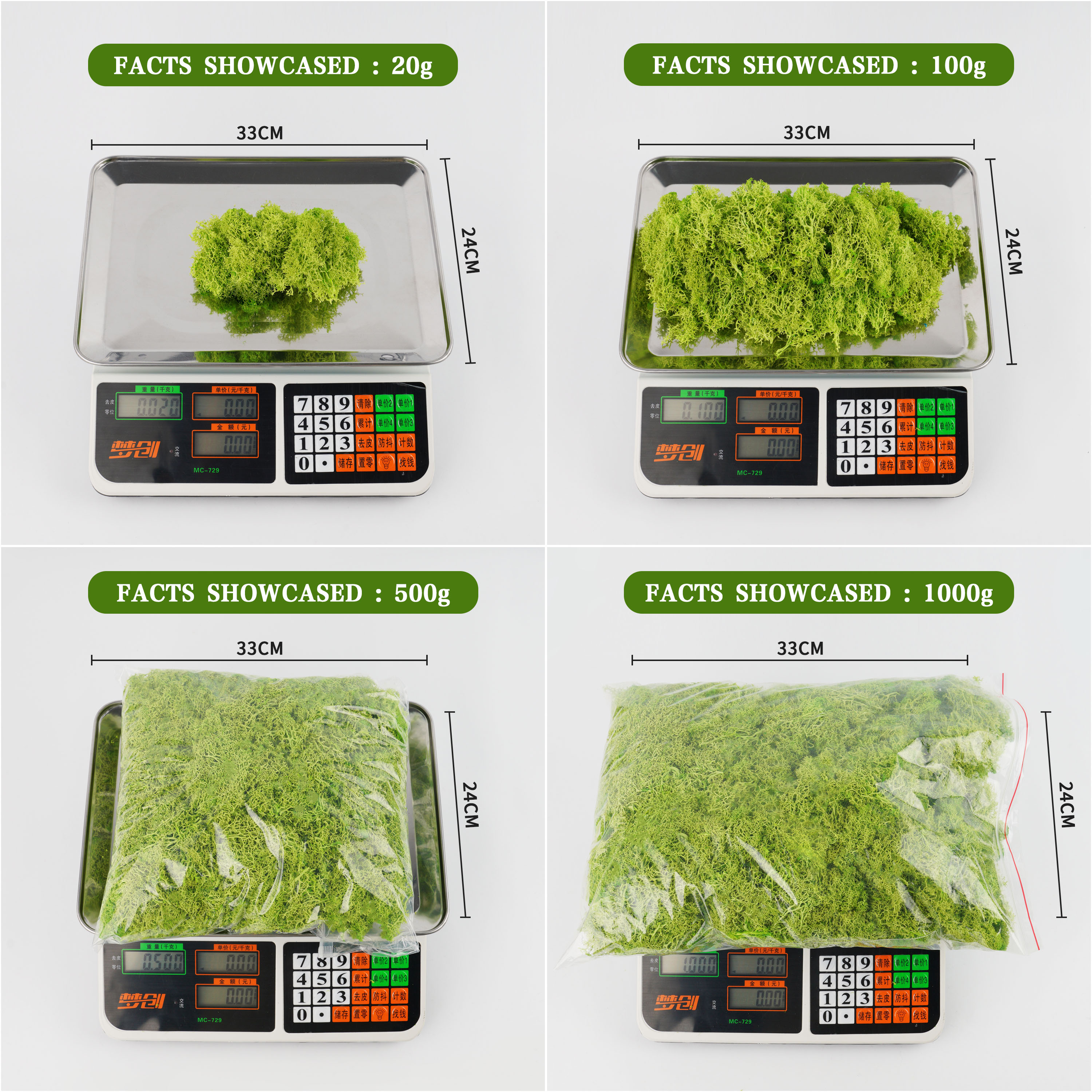 20/40/100g Eternal Life Moss D - Terrarium Moss Art ulasan dan harga
