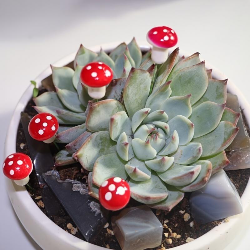 10-80PCS Mini Color Mushroom D - Terrarium Moss Art ulasan dan harga
