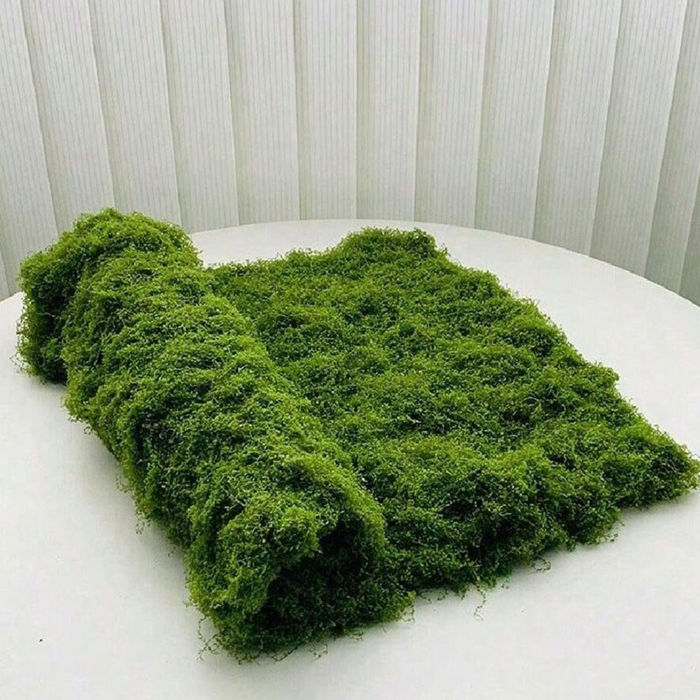 1*1m Fake Moss DIY Crafts Gras - Terrarium Moss Art ulasan dan harga