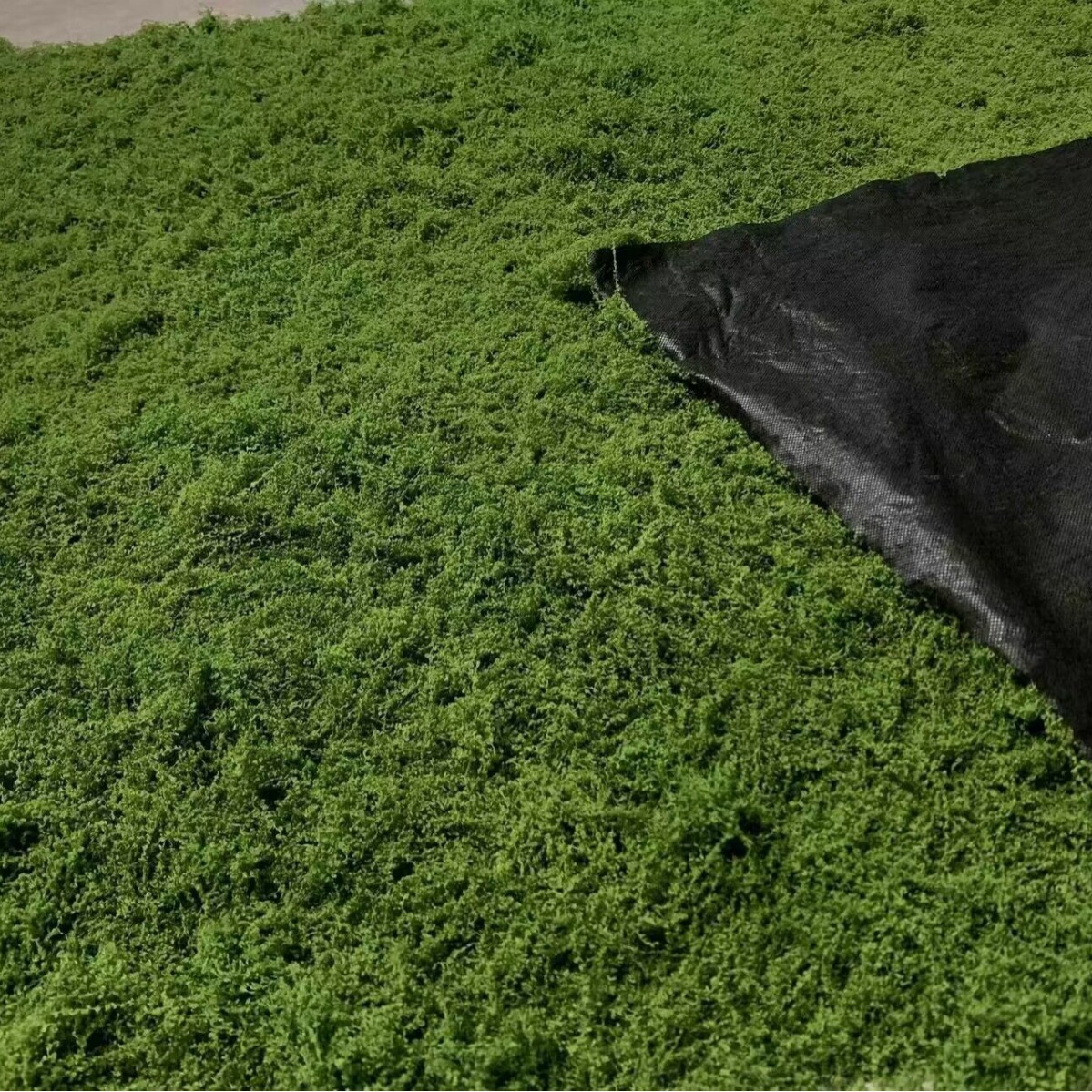 1*1m Fake Moss DIY Crafts Gras - Terrarium Moss Art ulasan dan harga