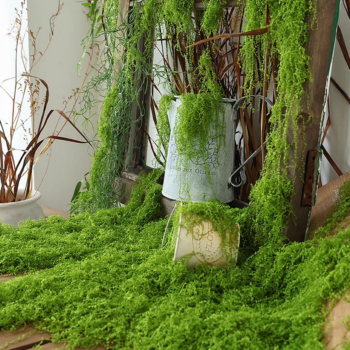 about 20g Artificial Green Pla - Terrarium Moss Art ulasan dan harga