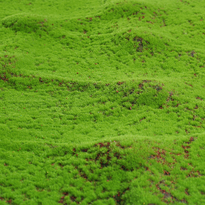 Artificial Moss Fake Green Mos - Terrarium Moss Art ulasan dan harga