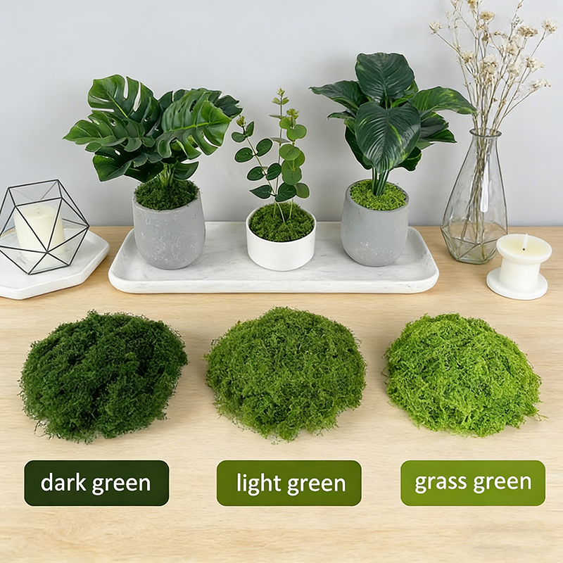 Artificial simulation of moss  - Terrarium Moss Art ulasan dan harga