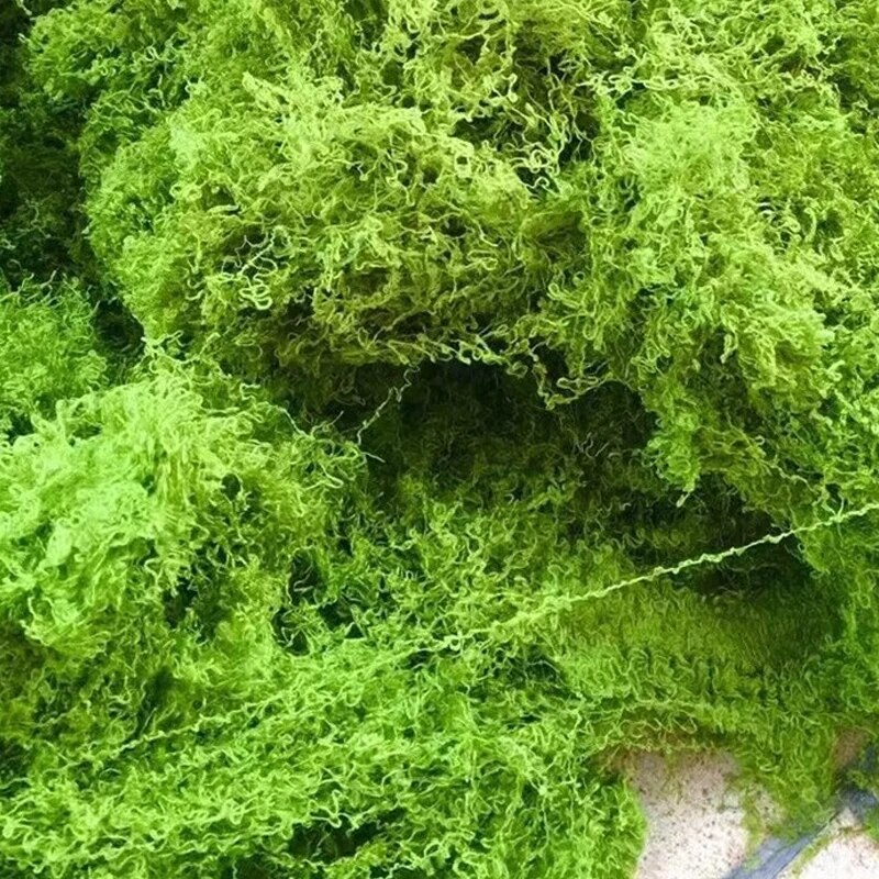30g Fake Moss Artificial Green - Terrarium Moss Art ulasan dan harga
